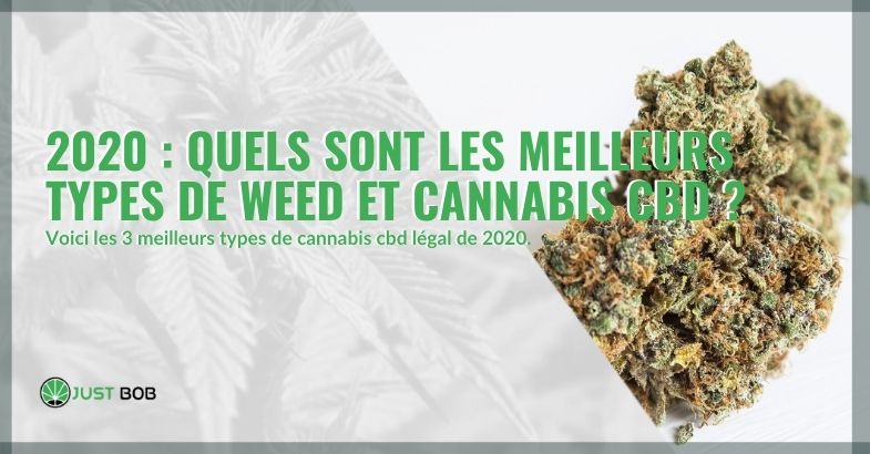 les meilleurs types de weed et cannabis CBD