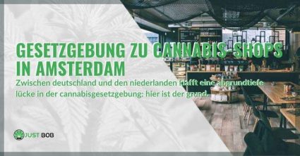 Gesetzgebung zu Cannabis-Shops in Amsterdam