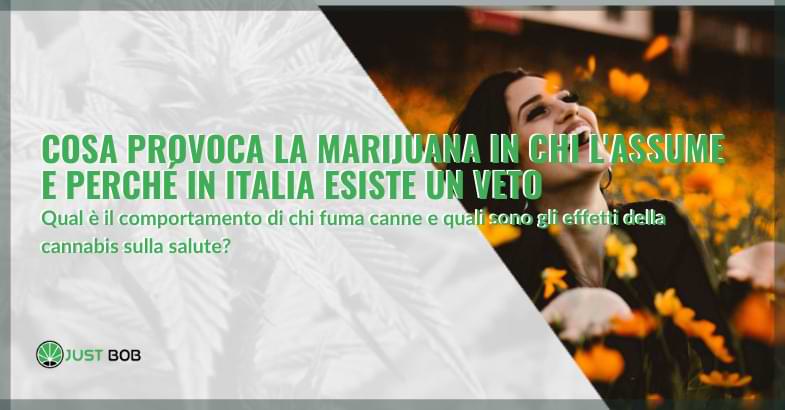 Cosa provoca la marijuana in chi l’assume e perché esiste un veto