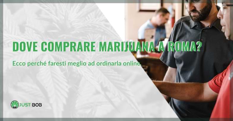 Dove comprare marijuana a Roma?