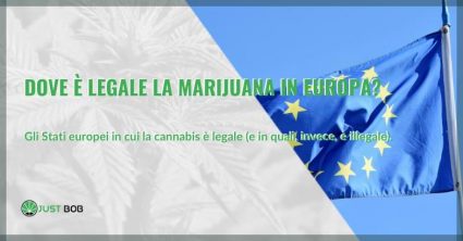 Dove è legale la marijuana in Europa?
