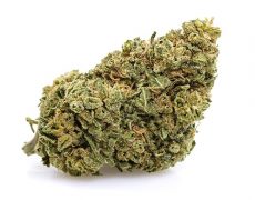 Gorilla Glue-cbd-gras