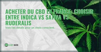 Indica vs. Sativa vs. Ruderalis