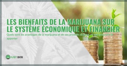 LES AVANTAGES DE LA MARIJUANA ET DE SES PRODUITS DERIVES,