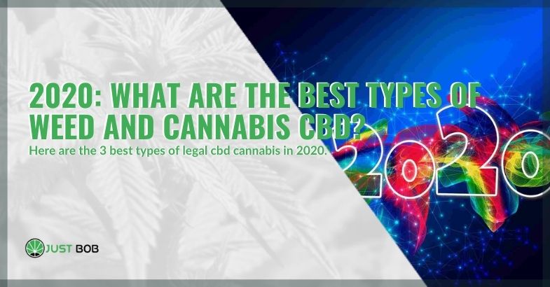 2020: what are the best types of weed and cannabis CBD?