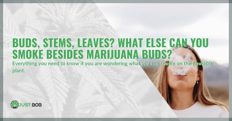 Buds, stems, leaves and cbd weed