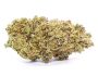 62703 california-haze-cbd-blueten