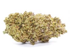 california-haze-cbd-buds 