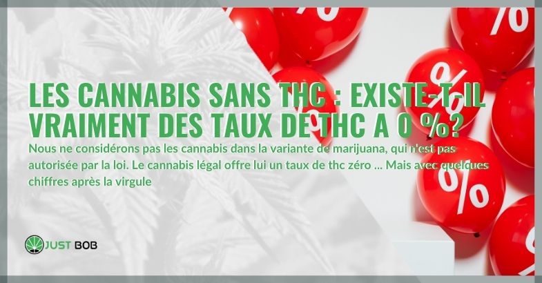 Les cannabis sans THC : existe-t-il vraiment?