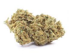 do-si-dos-cbd-buds