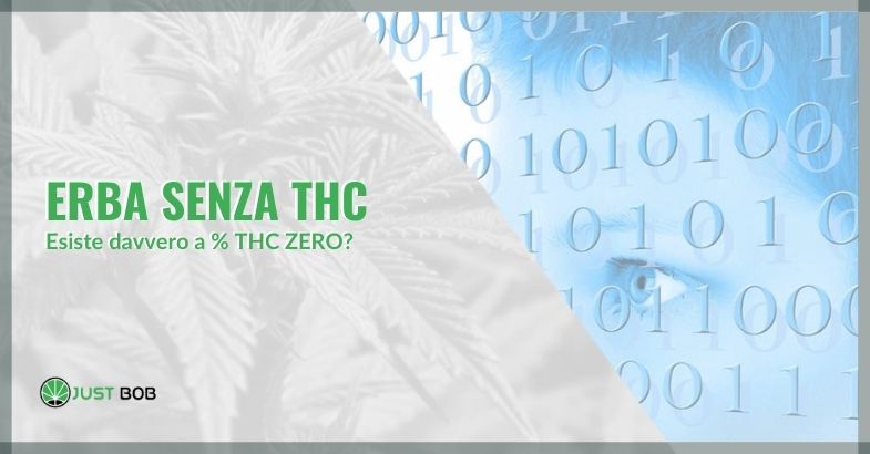 Erba senza thc: esiste davvero a % THC ZERO?