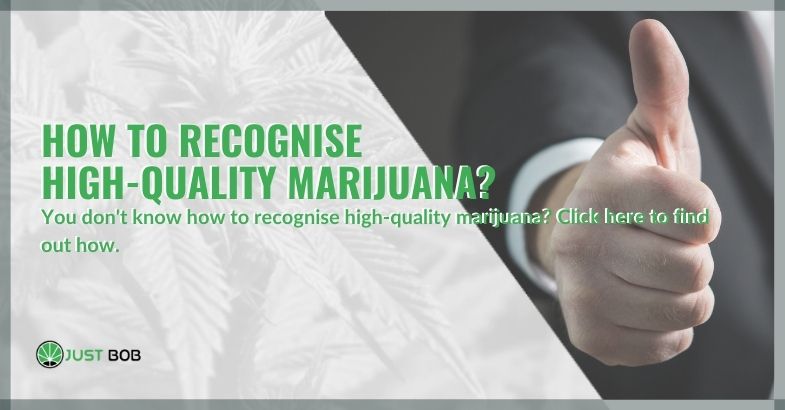 How to recognise high-quality marijuana?