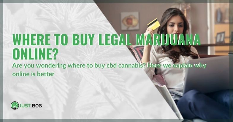 Where to buy CBD weed online?