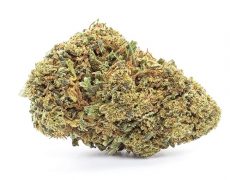 melon-kush-cbd-flowers