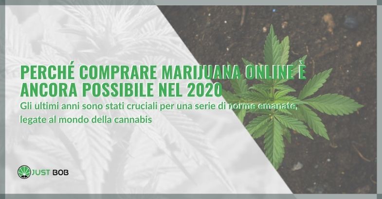 cbd-online-nel-2020