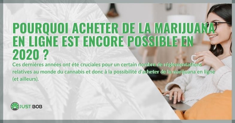 acheter marijuana en ligne est encore possible en 2020
