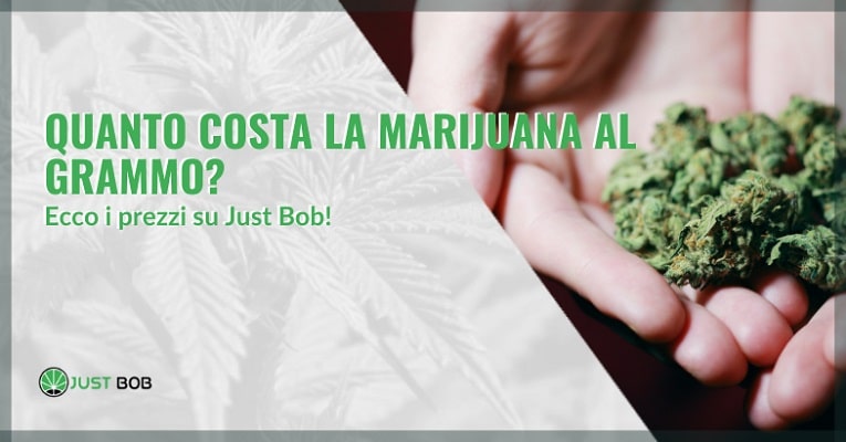 Quanto costa la marijuana al grammo?