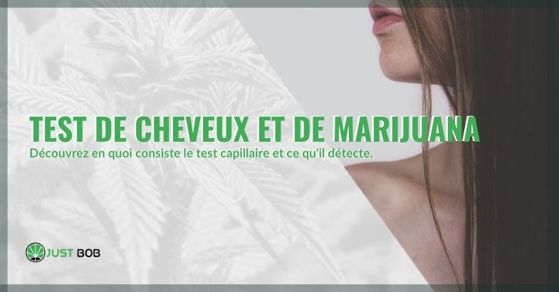 Test de cheveux et de marijuana