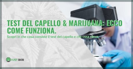 Test del capello & marijuana