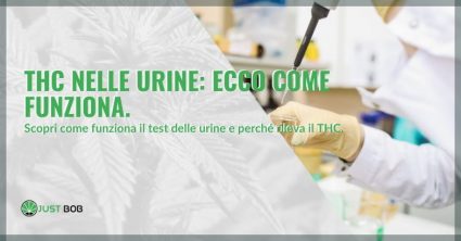 THC nelle urine: ecco come funziona.