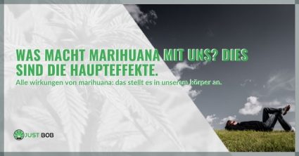 Was macht Marihuana mit uns? Dies sind die Haupteffekte.