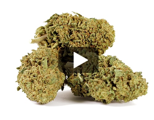 CBD-Flower-Dos-Si-Dos
