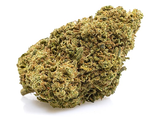 Orange Bud-cbd-weed