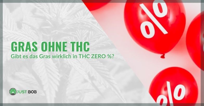 Gras ohne THC: Gibt es das Gras wirklich in THC ZERO %?