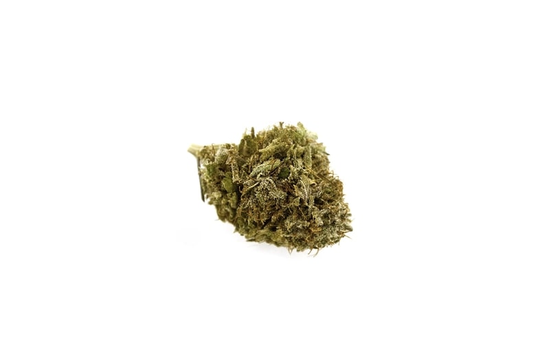 What do marijuana buds do?