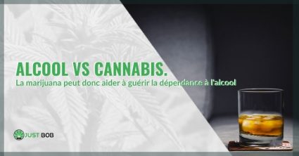 Alkohol vs. Cannabis et CBD