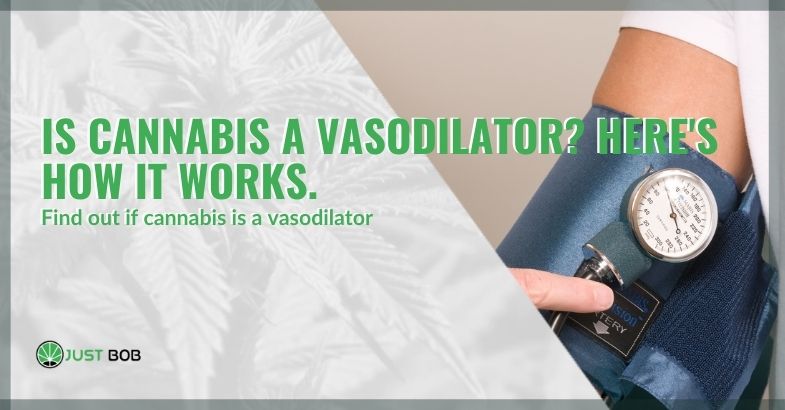 Is cannabis a vasodilator? Here’s how it works.