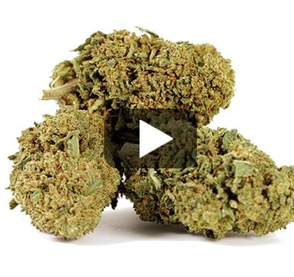 cannabis-legale-do-si-dos cannabis-legale-do-si-dos