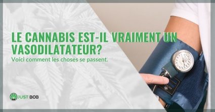 Le cannabis est-il vraiment un vasodilatateur?