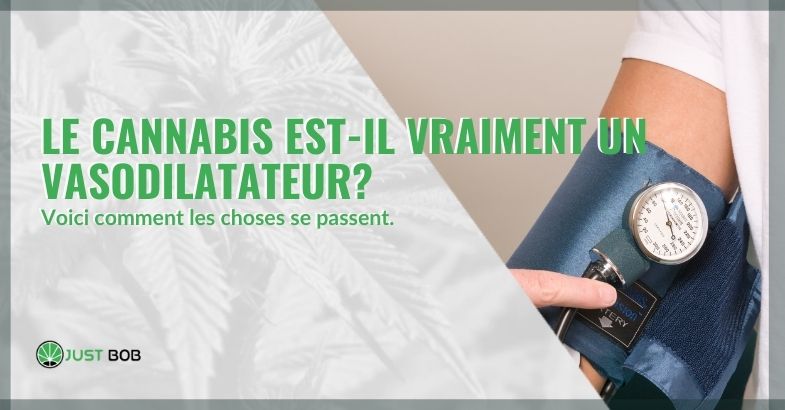 Le cannabis est-il vraiment un vasodilatateur?