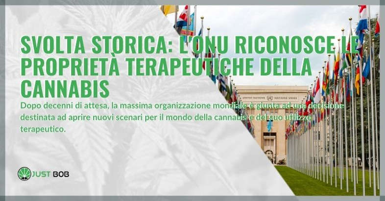 l’ONU riconosce le proprietà terapeutiche della cannabis