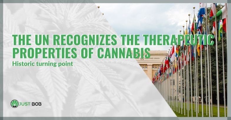 the UN recognizes the therapeutic properties of cannabis