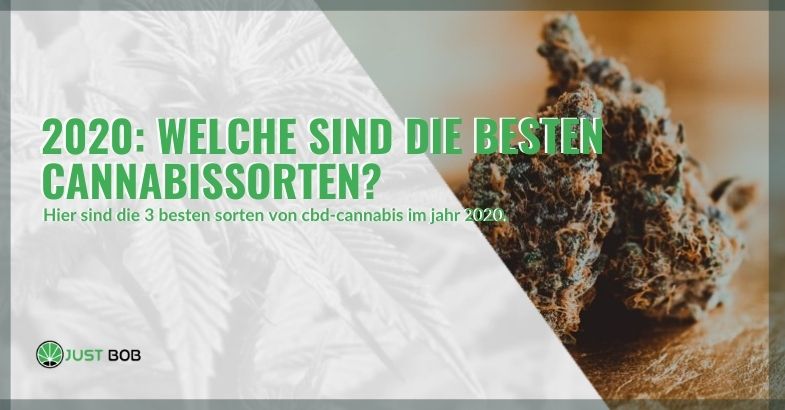 2020: Welche sind die besten Cannabissorten?