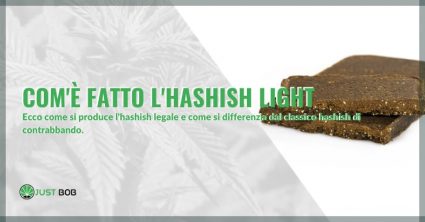 Com’è fatto l’hashish light