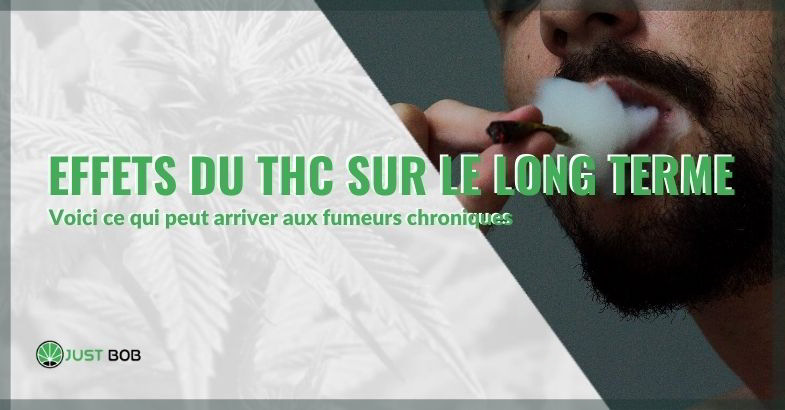 Effets du THC sur le long terme