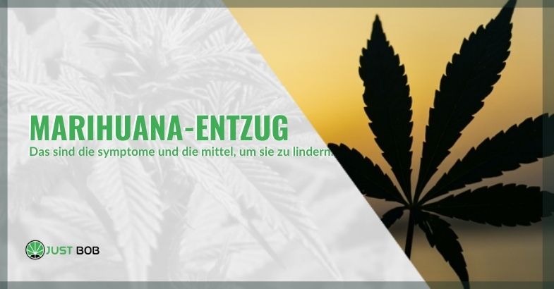 Marihuana-Entzug: Symptome und natürliche Heilmittel