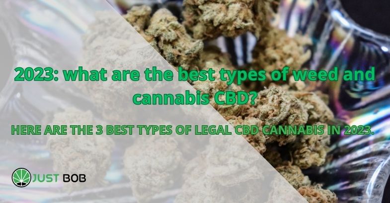 2023: what are the best types of weed and cannabis CBD?
