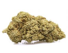 royal GG#4-cbd-boost-small-cbd-blueten