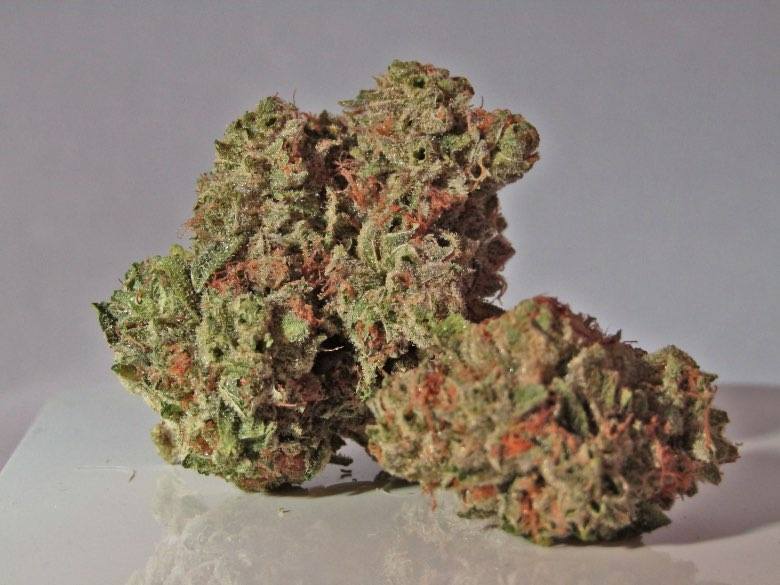 Master Kush: one of the best light hemp strains.