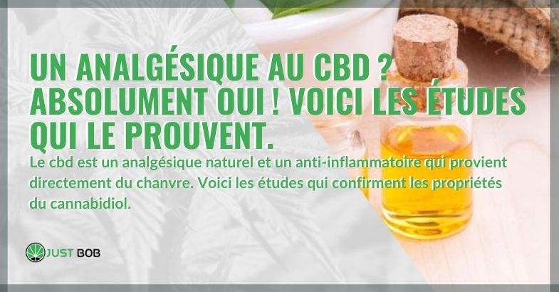 Un analgésique au CBD ?