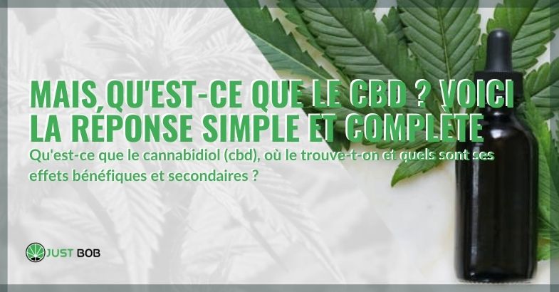 Mais qu’est-ce que le CBD ?