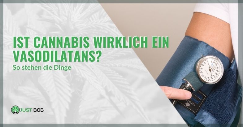 Ist Cannabis wirklich ein Vasodilatans? So stehen die Dinge.