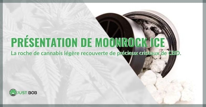 Présentation de Moonrock Ice, la roche de cannabis légal