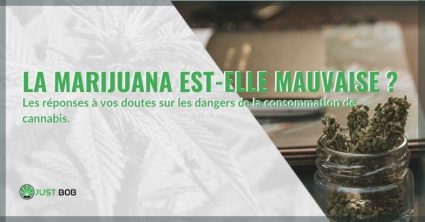 Marijuana au CBD ?