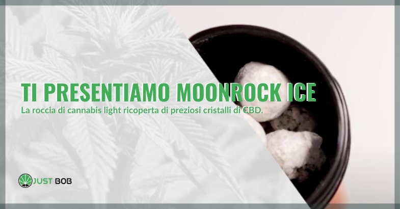 Info sulla Moonrock Ice CBD