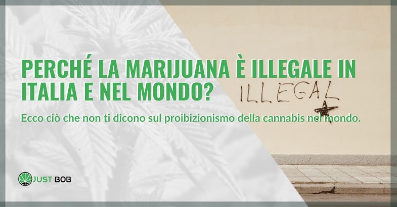 Perché la marijuana è illegale in Italia e nel mondo?